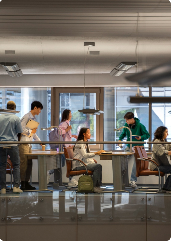 People sitting and working on their laptops